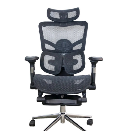 ErgoFlex Ergonomic Office Chair