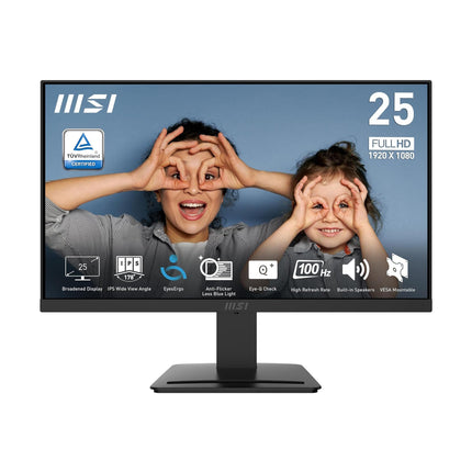 MSI PRO MP253 Business Monitor