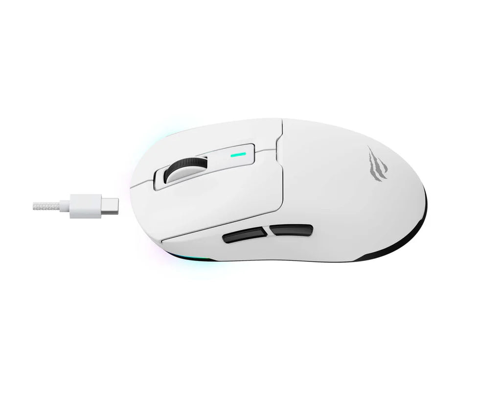 Havit MS969WB Wireless Gaming Mouse