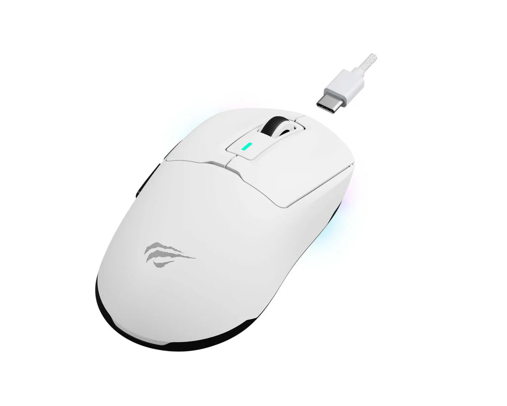 Havit MS969WB Wireless Gaming Mouse