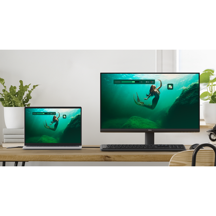 Dell 24 Monitor SE2425HM
